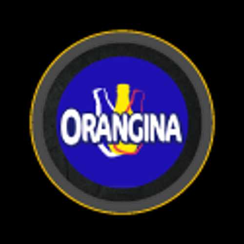 ORANGINA 33CL