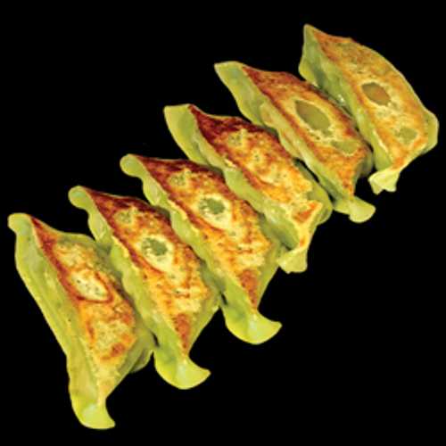 G-VEGE X6