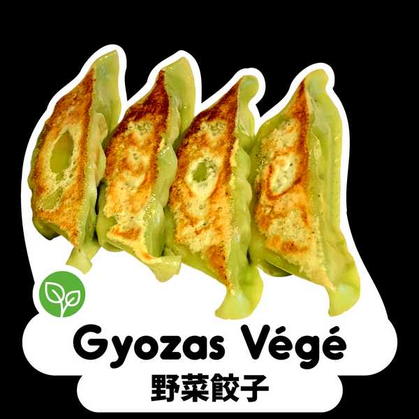 G-VEGE X6
