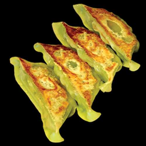 G-VEGE X4