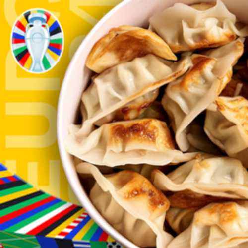 GYOZA BOX X16