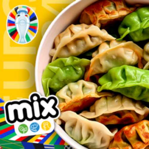 GYOZA BOX MIXTE