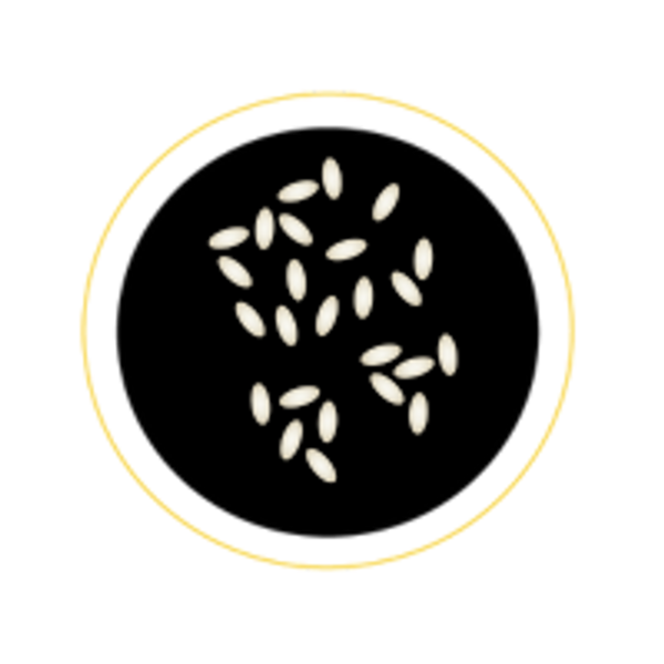 BASE RIZ BLANC