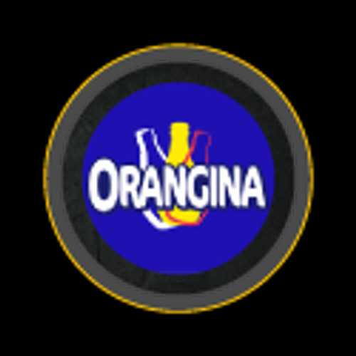 ORANGINA 33CL